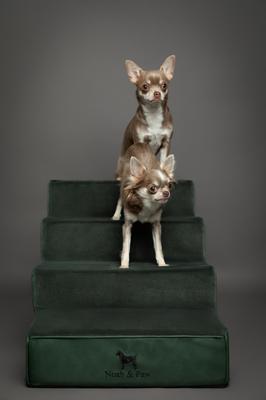 Show full view: Noah & Paw Machine Washable Faux Leather 4 Step Dog Stairs, Dark Green slide 4 of 10