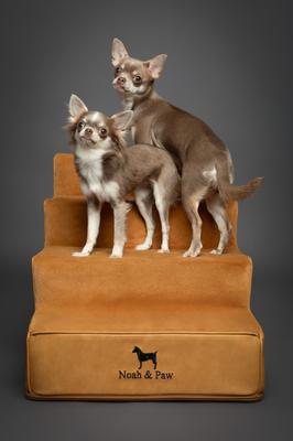 Show full view: Noah & Paw Machine Washable Faux Leather 4 Step Dog Stairs, Camel slide 6 of 10