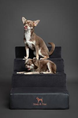 Show full view: Noah & Paw Machine Washable Faux Leather 4 Step Dog Stairs, Black slide 4 of 9