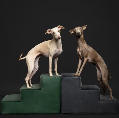 Show full view: Noah & Paw Machine Washable Faux Leather 3 Step Dog Stairs, Black slide 10 of 10