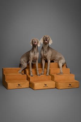 Show full view: Noah & Paw Machine Washable Faux Leather 4 Step Dog Stairs, Camel slide 8 of 10