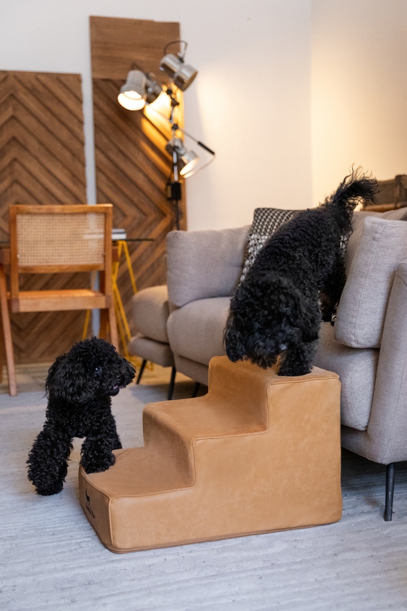 Out of Stock - NOAH & PAW Machine Washable Faux Leather 3 Step Dog ...