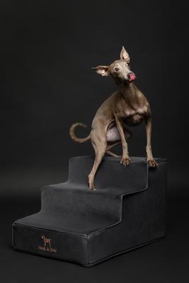 Show full view: Noah & Paw Machine Washable Faux Leather 3 Step Dog Stairs, Black slide 8 of 10