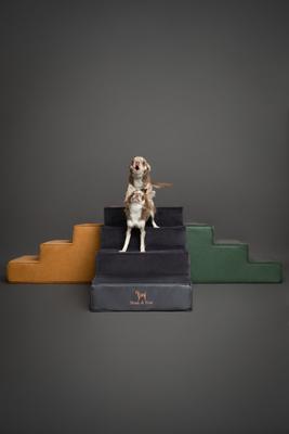 Show full view: Noah & Paw Machine Washable Faux Leather 4 Step Dog Stairs, Black slide 8 of 9