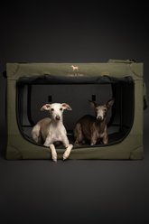 Noah & Paw Collapsible Soft-Sided Dog Crate, Green, 30-in slide 2 of 9
