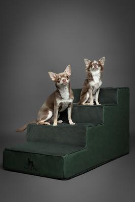 Show full view: Noah & Paw Machine Washable Faux Leather 4 Step Dog Stairs, Dark Green slide 6 of 10