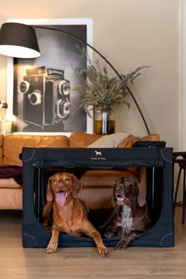 Show full view: Noah & Paw Collapsible Soft-Sided Dog Crate, Black, 36-in slide 2 of 9