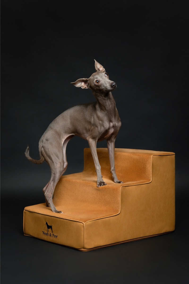 Out of Stock - NOAH & PAW Machine Washable Faux Leather 3 Step Dog ...