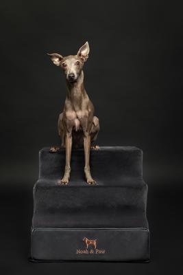 Show full view: Noah & Paw Machine Washable Faux Leather 3 Step Dog Stairs, Black slide 5 of 10