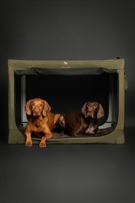 Show full view: Noah & Paw Collapsible Soft-Sided Dog Crate, Green, 36-in slide 8 of 9