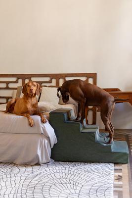 Noah & Paw 5 Step Leather Dog Stairs