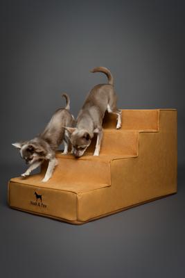 Show full view: Noah & Paw Machine Washable Faux Leather 4 Step Dog Stairs, Camel slide 7 of 10