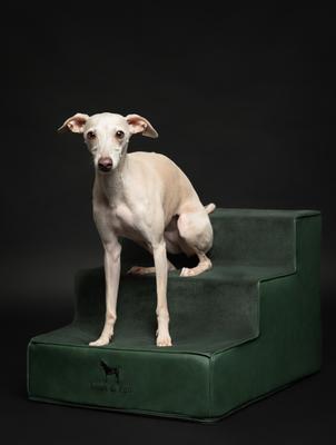 Show full view: Noah & Paw Machine Washable Faux Leather 3 Step Dog Stairs, Dark Green slide 6 of 9