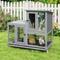 Show in main carousel: Coziwow 2-Tier Outdoor & Indoor Wooden Rabbit Hutch with Wheels & Pull-Out Trays, 38.98-L, Gray slide 1 of 9