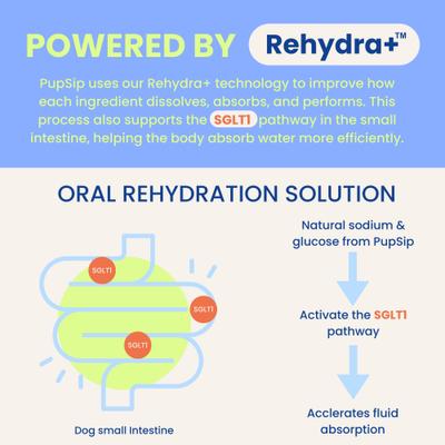 Show full view: PupSip Electrolyte & Hydration Support Berry Boost Flavored Powder Supplement for Dogs, 12 count slide 7 of 12