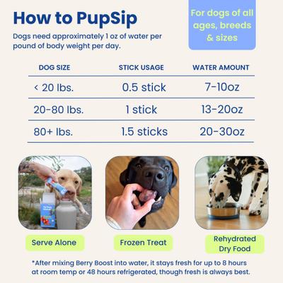 Show full view: PupSip Electrolyte & Hydration Support Berry Boost Flavored Powder Supplement for Dogs, 12 count slide 8 of 12