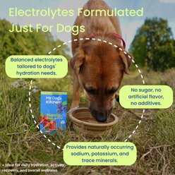 PupSip Electrolyte & Hydration Support Berry Boost Flavored Powder Supplement for Dogs, 12 count slide 2 of 9
