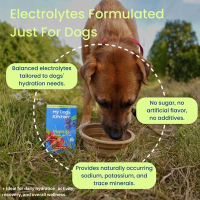 Show full view: PupSip Electrolyte & Hydration Support Berry Boost Flavored Powder Supplement for Dogs, 12 count slide 3 of 12