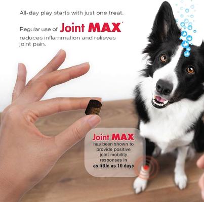 Show full view: Joint MAX Triple Strength Soft Chews Hip Dysplasia & Arthritis, Glucosamine Supplement for Dogs, 240 count slide 9 of 14
