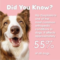 Joint MAX Double Strength Chewable Tablets for Large Dogs, 120 count slide 2 of 9