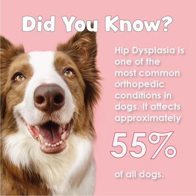 Show full view: Joint MAX Triple Strength Chewable Tablets for Dogs, 120 count slide 9 of 13