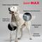 Show in main carousel: Joint MAX Double Strength Chewable Tablets for Large Dogs, 120 count slide 6 of 11
