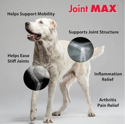 Show full view: Joint MAX Double Strength Chewable Tablets for Large Dogs, 120 count slide 6 of 11