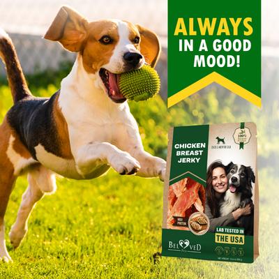 Show full view: Beloved Pets Chicken Breast Jerky Human Grade & Grain-Free Organic Chicken Jerky Dog Treats, 10.6-oz bag slide 9 of 10