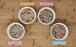 Gunnis Taste of Iceland Cod & Capelin Recipe with Kelp Wet Dog Food Topper, 4.5-oz can, case of 12 slide 2 of 4