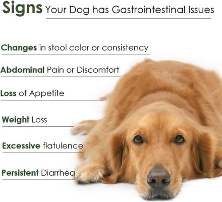 Show full view: Proflora Powder Digestive Supplement for Dogs, 30 servings slide 10 of 11