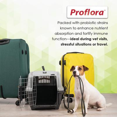 Show full view: Proflora Powder Digestive Supplement for Dogs, 30 servings slide 6 of 11