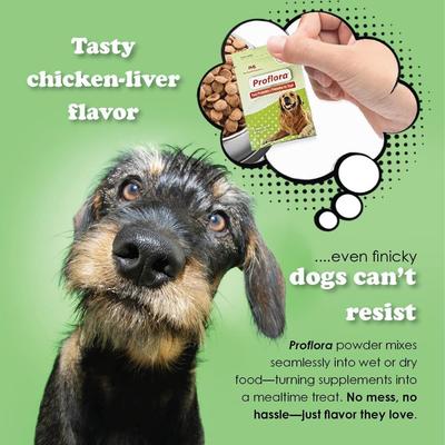 Show full view: Proflora Powder Digestive Supplement for Dogs, 30 servings slide 4 of 11