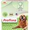 Show in main carousel: Proflora Powder Digestive Supplement for Dogs, 30 servings slide 1 of 11