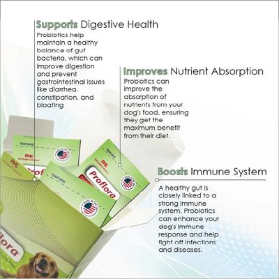 Show full view: Proflora Powder Digestive Supplement for Dogs, 30 servings slide 3 of 11