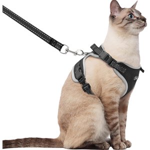 Supet Cat Harness & Leash, Black, Medium: 10.5 to 19.5-in chest