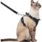 Show in main carousel: Supet Cat Harness & Leash, Black, Small: 13.5 to 15.5-in chest slide 1 of 9