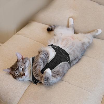 Show full view: Supet Cat Harness & Leash, Black, Small: 13.5 to 15.5-in chest slide 5 of 9
