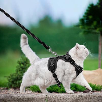 Show full view: Supet Cat Harness & Leash, Black, Small: 13.5 to 15.5-in chest slide 3 of 9