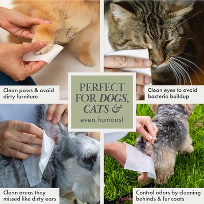 Show full view: Nina Woof Premium Dog & Cat Wipes, 70 count slide 8 of 10