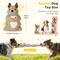 Show in main carousel: Petbobi Interactive Enrichment Puzzle Squirrel Squeaky Plush Dog Toy with Treat Pockets, Gray slide 5 of 7