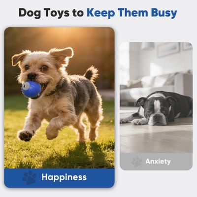 Show full view: Petbobi Interactive Rechargeable Automatic Bouncing Treat Dispensing Ball Dog Toy, Blue slide 6 of 7