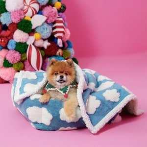 Lesure Waterproof Calming Double-Sided Jacquard Shag & Soft Sherpa Fleece Furniture Protector Dog & Cat Blanket, Blue, Small
