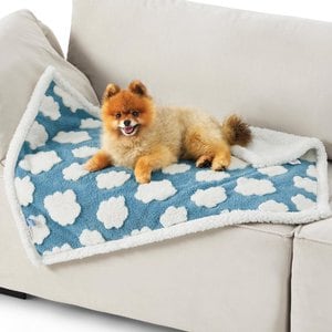 Lesure Waterproof Calming Double-Sided Jacquard Shag & Soft Sherpa Fleece Furniture Protector Dog & Cat Blanket, Blue, Small