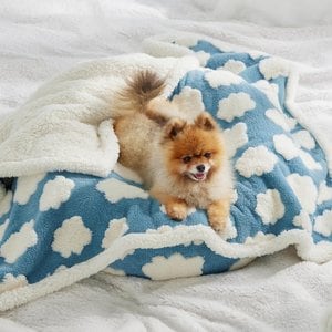 Lesure Waterproof Calming Double-Sided Jacquard Shag & Soft Sherpa Fleece Furniture Protector Dog & Cat Blanket, Blue, Small