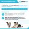 Show in main carousel: Vetoquinol Zylkene Plus 450-mg Capsules Calming Supplement for Dogs, 30 count slide 4 of 11