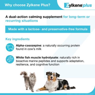 Show full view: Vetoquinol Zylkene Plus 450-mg Capsules Calming Supplement for Dogs, 30 count slide 4 of 11