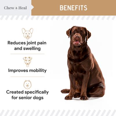 Chew + Heal Hip & Joint Mobility Peanut Butter Flavored Soft Chew Senior Dog Supplement