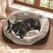 Show in main carousel: Bedsure Square Bolster Dog Bed, Brown, Medium Plus slide 1 of 11
