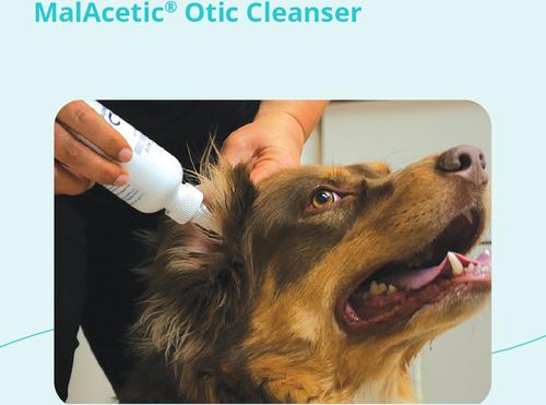 Show full view: MalAcetic Otic Cleanser for Dogs & Cats, 8-fl oz bottle slide 7 of 9