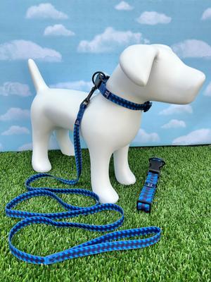 Show full view: Hamilton Go Boldly Waterproof Polyester Standard Dog Leash, Lime, Medium/Large: 6-ft long, 1-in wide slide 4 of 6